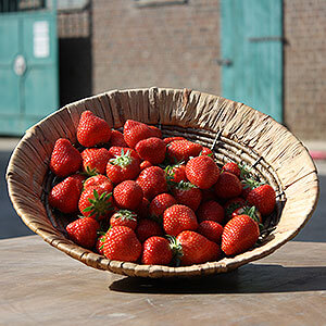 Große Schale mit leckeren Erdbeeren
