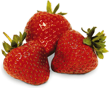 Erdbeeren